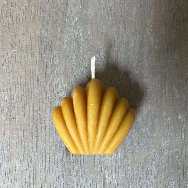 Shell Beeswax Candle