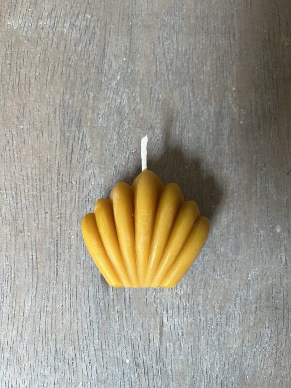 Shell Beeswax Candle