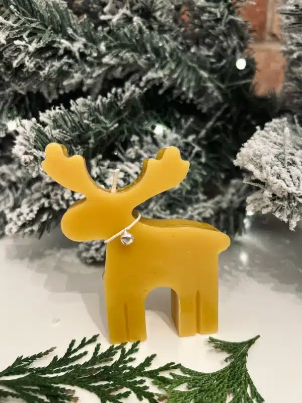 Reindeer - Image 3